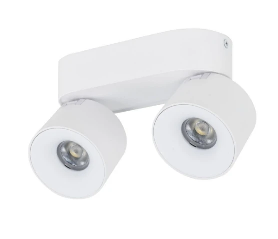 Spot spark duo white CCT 20W 18171 