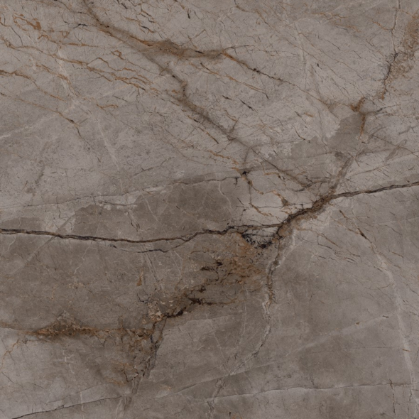 Плитка Bien Port. Root Ash 100x100 