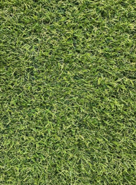 Campo OG 2.0m 1K ( r=50m2)  