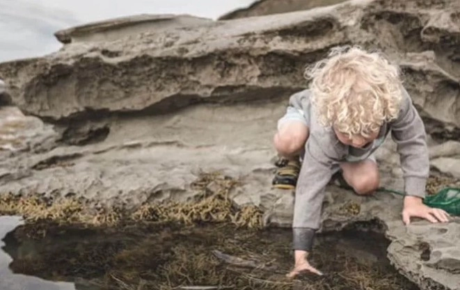 Ламинат Natura Line AGT 510 